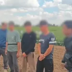 Рейд на полях под Волгоградом: девять мигрантов выдворят из России
