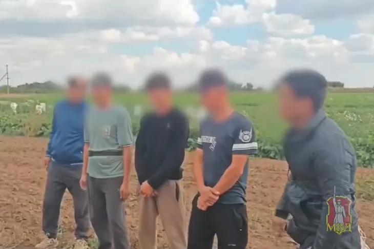 Рейд на полях под Волгоградом: девять мигрантов выдворят из России