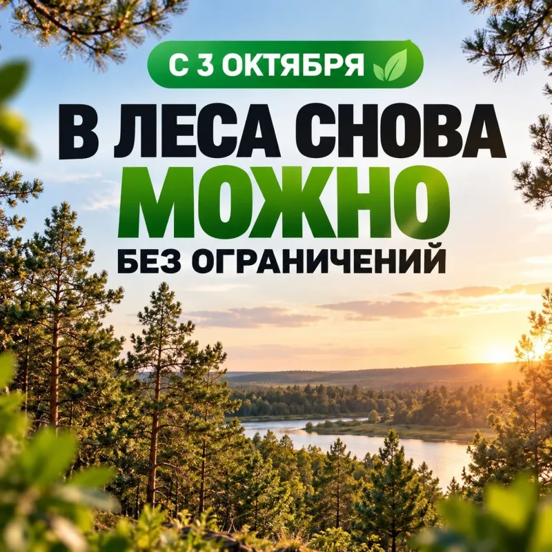 В Волгоградской области отменили запрет на посещение лесов
